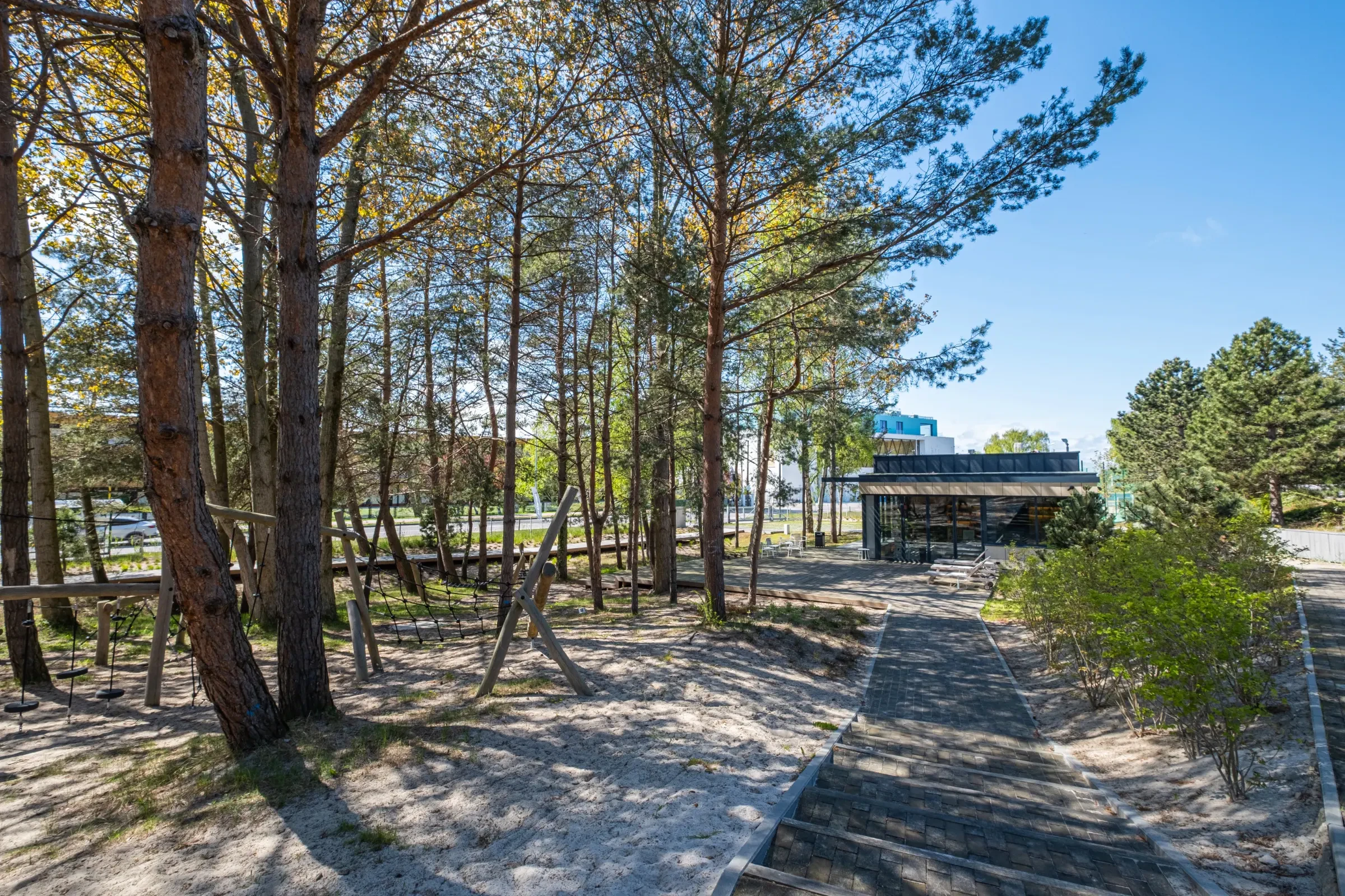 Zdjęcie 12